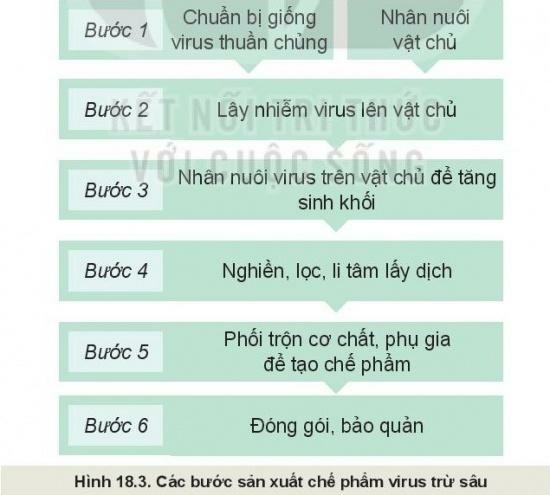 Công nghệ 10 Bài 18: Ứng dụng công nghệ vi sinh trong phòng trừ sâu, bệnh hại cây trồng | Kết nối tri thức (ảnh 3)