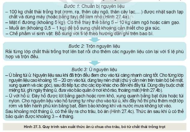 Công nghệ 10 Bài 27: Ứng dụng công nghệ vi sinh trong bảo vệ môi trường và xử lí chất thải trồng trọt | Kết nối tri thức (ảnh 1)