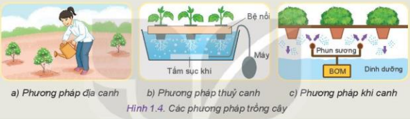 Lý thuyết Công Nghệ 10 Bài 1: Công nghệ và đời sống - Kết nối tri thức (ảnh 1)