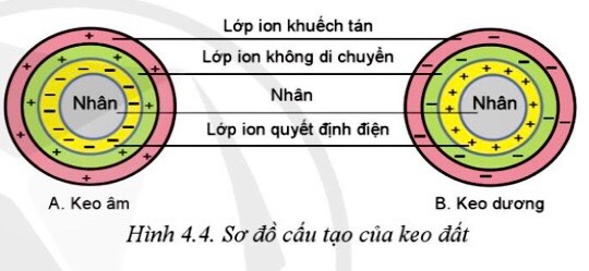 Công nghệ 10 Bài 4: Thành phần và tính chất của đất trồng | Cánh diều (ảnh 3)