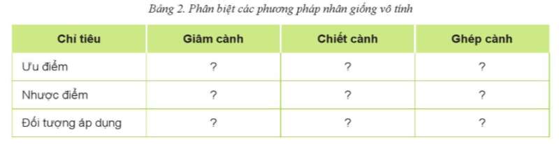 Công nghệ 10 Ôn tập chủ đề 4: Công nghệ giống cây trồng | Cánh diều (ảnh 3)