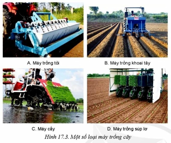 Công nghệ 10 Bài 17: Ứng dụng cơ giới hoá trong trồng trọt | Cánh diều (ảnh 3)