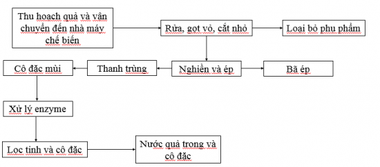 Công nghệ 10 Ôn tập chủ đề 6: Kĩ thuật trồng trọt | Cánh diều (ảnh 2)