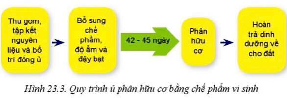 Công nghệ 10 Bài 23: Công nghệ vi sinh trong bảo vệ môi trường và xử lí chất thải trồng trọt | Cánh diều (ảnh 3)