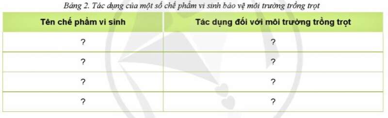 Công nghệ 10 Ôn tập chủ đề 8: Bảo vệ môi trường trong trồng trọt | Cánh diều (ảnh 4)