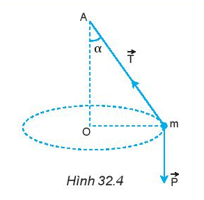 Vật Lí 10 Bài 32: Lực hướng tâm và gia tốc hướng tâm | Giải Lí 10 Kết nối tri thức (ảnh 3)