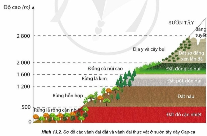 Địa Lí 10 Bài 13: Thực hành: Phân tích bản đồ, sơ đồ về phân bố của đất và sinh vật trên thế giới | Cánh diều (ảnh 4)