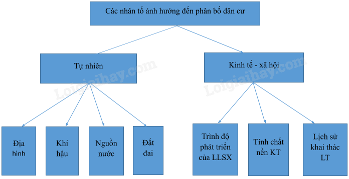 Địa Lí 10 Bài 17: Phân bố dân cư và đô thị hoá | Cánh diều (ảnh 3)