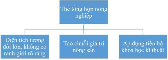 Địa Lí 10 Bài 22: Tổ chức lãnh thổ nông nghiệp | Cánh diều (ảnh 3)