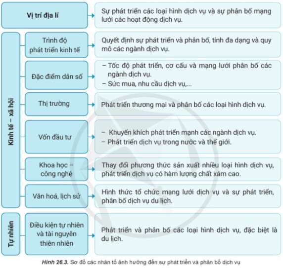 Địa Lí 10 Bài 26: Vai trò, đặc điểm, cơ cấu, các nhân tố ảnh hưởng đến sự phát triển và phân bố dịch vụ | Cánh diều (ảnh 3)