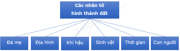 Địa Lí 10 Bài 14: Đất | Chân trời sáng tạo (ảnh 3)