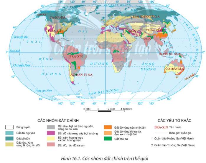 Địa Lí 10 Bài 16: Thực hành phân tích sự phân bố của đất và sinh vật trên Trái Đất | Chân trời sáng tạo (ảnh 1)