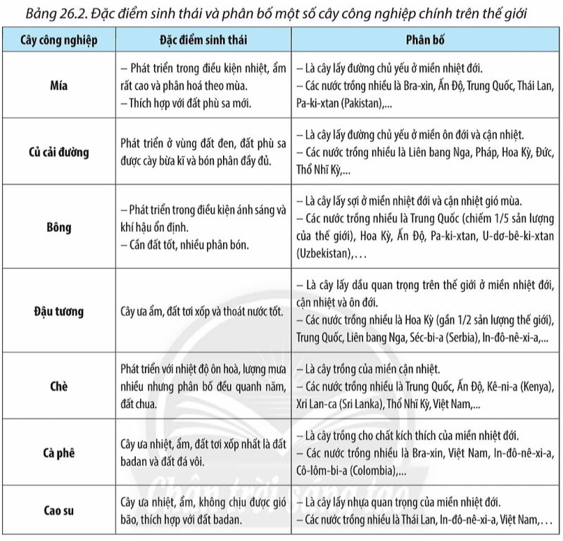 Địa Lí 10 Bài 26: Địa lí các ngành nông nghiệp, lâm nghiệp, thủy sản | Chân trời sáng tạo (ảnh 3)