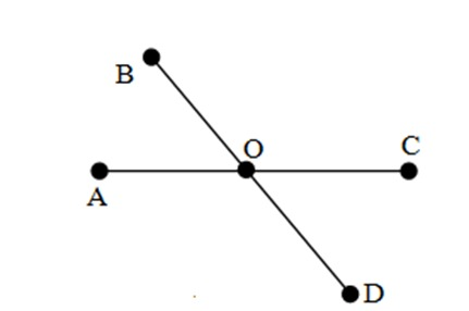 39 câu Trắc nghiệm Điểm và đường thẳng (Kết nối tri thức) có đáp án – Toán 6 (ảnh 36)