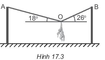 TOP 30 đề thi Học kì 1 Vật lý lớp 10 Chân trời sáng tạo (4 đề có đáp án + ma trận) (ảnh 1)