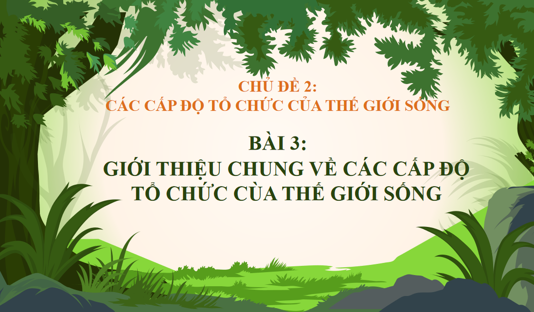 Giáo án điện tử Giới thiệu chung về các cấp độ tổ chức của thế giới sống  | Bài giảng PPT Sinh học 10 (ảnh 1)