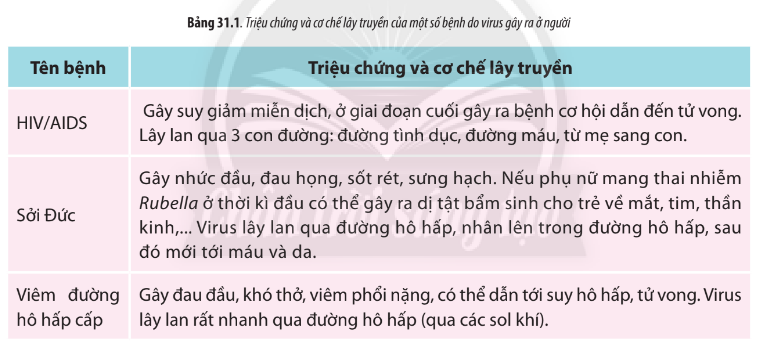 Sinh học 10 Bài 31: Virus gây bệnh | Giải Sinh 10 Chân trời sáng tạo (ảnh 4)