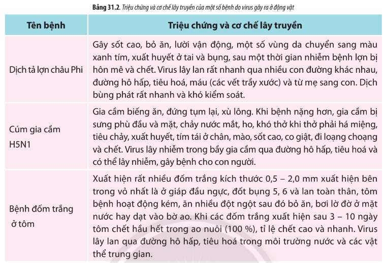 Sinh học 10 Bài 31: Virus gây bệnh | Giải Sinh 10 Chân trời sáng tạo (ảnh 5)