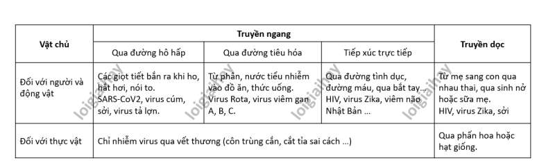 Lý thuyết Sinh học 10 Bài 31 (Chân trời sáng tạo): Virus gây bệnh (ảnh 3)