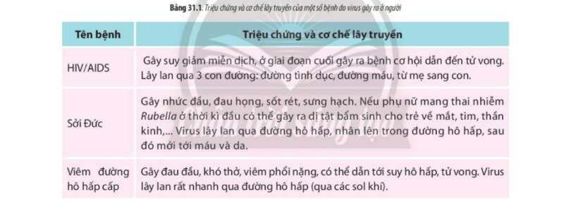 Lý thuyết Sinh học 10 Bài 31 (Chân trời sáng tạo): Virus gây bệnh (ảnh 4)