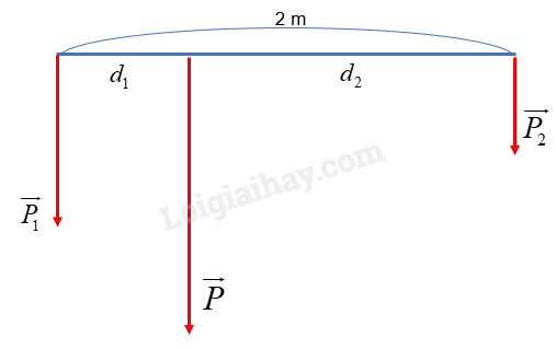 Vật Lí 10 Bài 13: Tổng hợp lực - Phân tích lực | Giải Lí 10 Chân trời sáng tạo (ảnh 21)