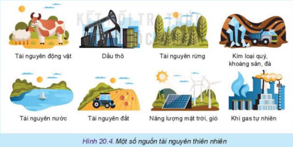 Lý thuyết Công Nghệ 10 Bài 20: Nguyên tắc thiết kế kĩ thuật - Kết nối tri thức (ảnh 1)