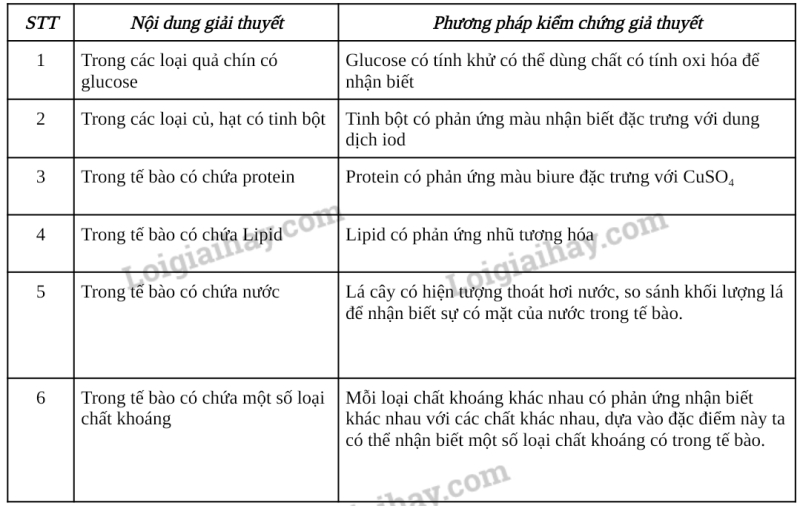 Sinh học 10 Bài 7: Thực hành: Xác định một số thành phần hóa học của tế bào | Giải Sinh 10 Chân trời sáng tạo (ảnh 2)