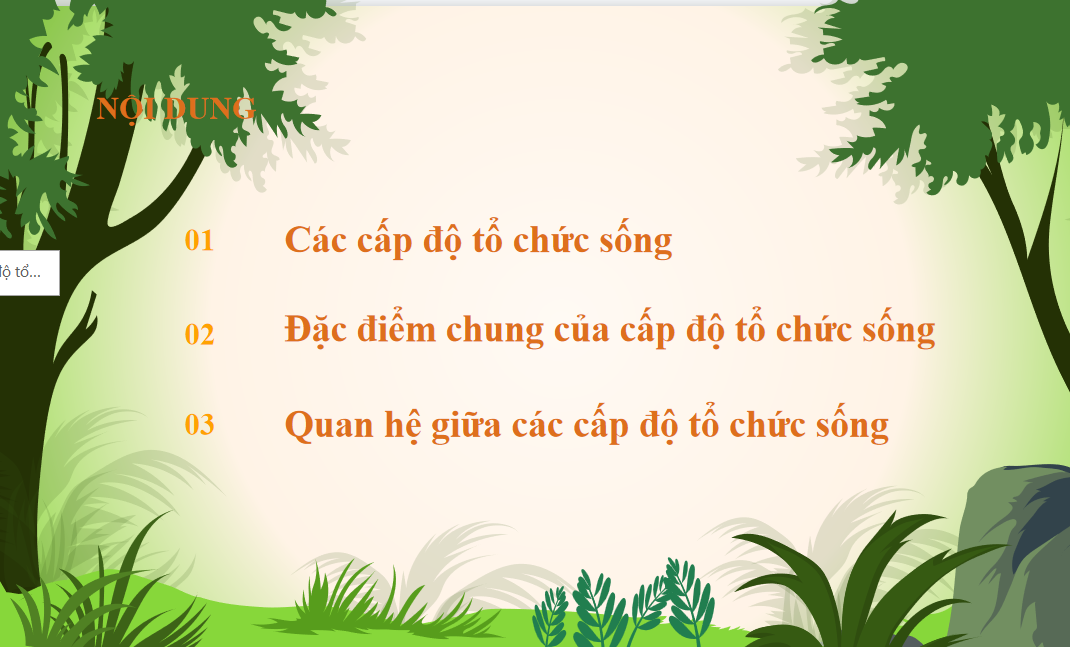 Giáo án điện tử Giới thiệu chung về các cấp độ tổ chức của thế giới sống  | Bài giảng PPT Sinh học 10 (ảnh 1)