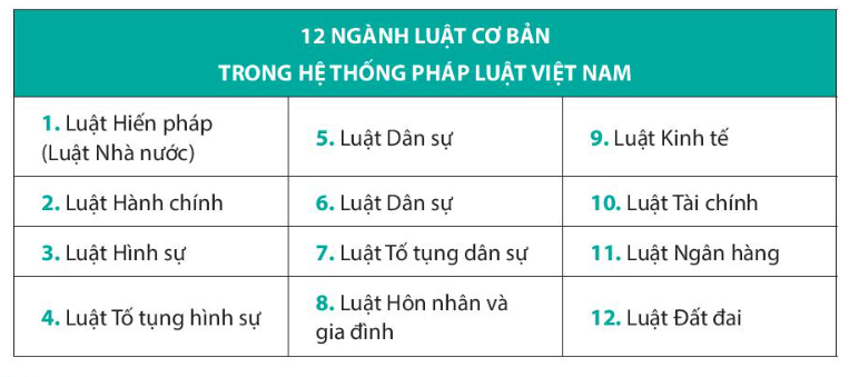 Pháp luật 10 Bài 18: Hệ thống pháp luật và văn bản pháp luật | Chân trời sáng tạo (ảnh 4)