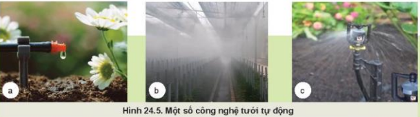 Lý thuyết Công Nghệ 10 Bài 24: Một số công nghệ cao trong trồng trọt - Kết nối tri thức (ảnh 1)