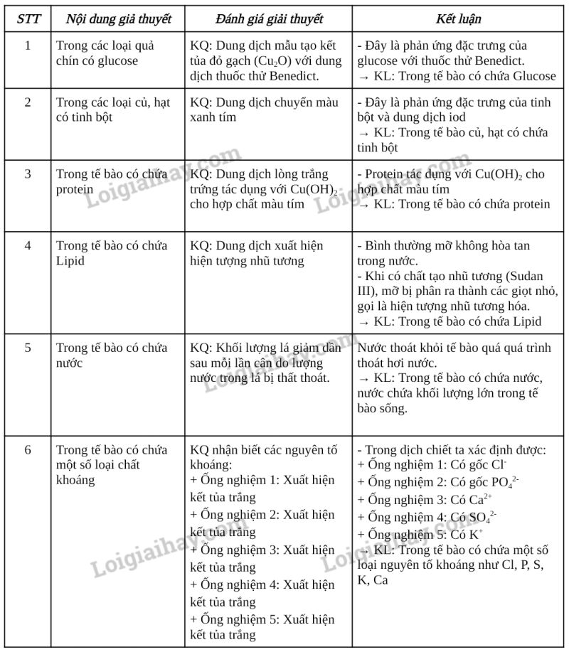 Sinh học 10 Bài 7: Thực hành: Xác định một số thành phần hóa học của tế bào | Giải Sinh 10 Chân trời sáng tạo (ảnh 3)