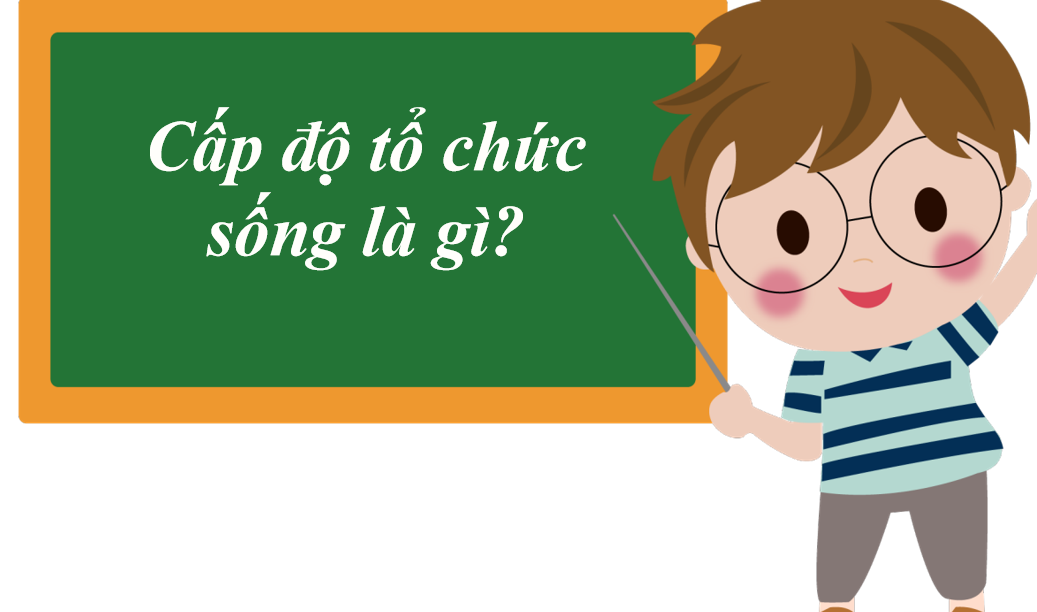 Giáo án điện tử Giới thiệu chung về các cấp độ tổ chức của thế giới sống  | Bài giảng PPT Sinh học 10 (ảnh 1)