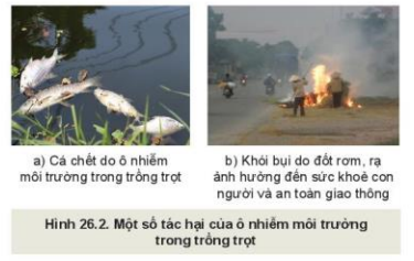 Lý thuyết Công Nghệ 10 Bài 26: Sự cần thiết phải bảo vệ môi trường trong trồng trọt - Kết nối tri thức (ảnh 1)