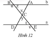 Sách bài tập Toán 7 Bài 3: Hai đường thẳng song song - Chân trời sáng tạo (ảnh 1)