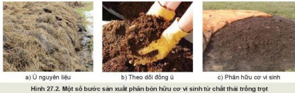 Lý thuyết Công Nghệ 10 Bài 27: Ứng dụng công nghệ vi sinh trong bảo vệ môi trường và xử lí chất thải trồng trọt - Kết nối tri thức (ảnh 1)