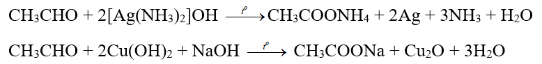  (ảnh 3)