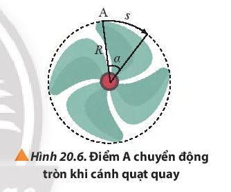 Vật Lí 10 Bài 20: Động học của chuyển động tròn | Giải Lí 10 Chân trời sáng tạo (ảnh 4)