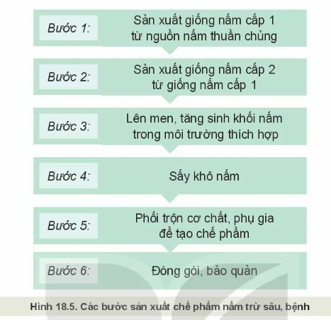 Công nghệ 10 Bài 18: Ứng dụng công nghệ vi sinh trong phòng trừ sâu, bệnh hại cây trồng | Kết nối tri thức (ảnh 4)