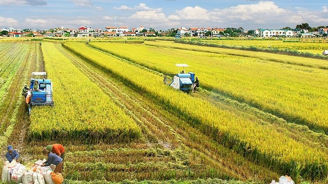 Lý thuyết Bài 25: Vai trò, đặc điểm, các nhân tố ảnh hưởng tới sự phát triển và phân bố nông nghiệp, lâm nghiệp, thủy sản - Chân trời sáng tạo (ảnh 1)