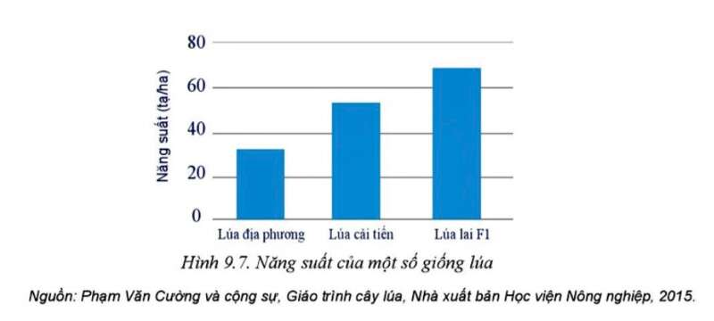 Công nghệ 10 Bài 9: Giống cây trồng | Cánh diều (ảnh 3)