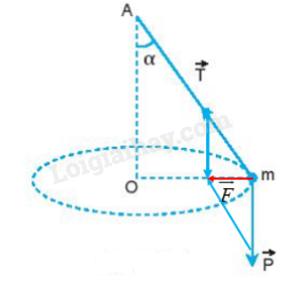 Vật Lí 10 Bài 32: Lực hướng tâm và gia tốc hướng tâm | Giải Lí 10 Kết nối tri thức (ảnh 4)