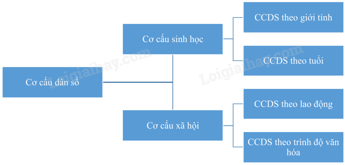 Địa Lí 10 Bài 16: Dân số và gia tăng dân số. Cơ cấu dân số | Cánh diều (ảnh 4)