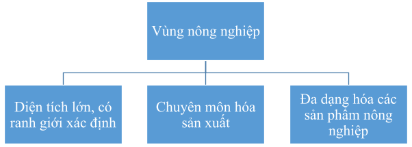 Địa Lí 10 Bài 22: Tổ chức lãnh thổ nông nghiệp | Cánh diều (ảnh 4)