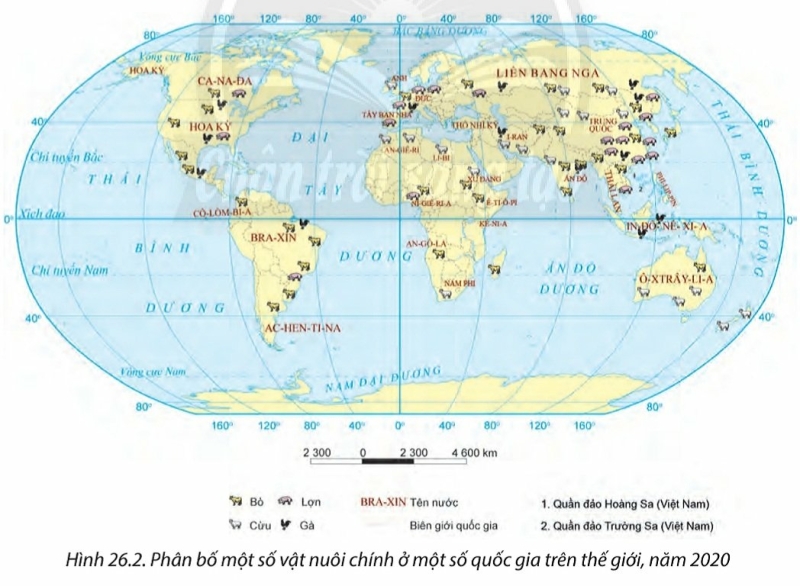 Địa Lí 10 Bài 26: Địa lí các ngành nông nghiệp, lâm nghiệp, thủy sản | Chân trời sáng tạo (ảnh 4)