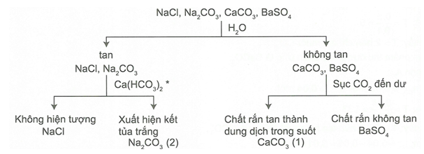 Chuyên đề Hợp chất của cacbon 2022 hay, chọn lọc (ảnh 1)