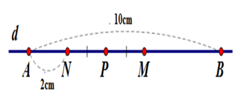 17 câu Trắc nghiệm Trung điểm của đoạn thẳng  (Kết nối tri thức) có đáp án – Toán 6 (ảnh 4)