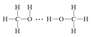 Sách bài tập Hóa học 10 Bài 13 (Kết nối tri thức): Liên kết hydrogen và tương tác van der Waals  (ảnh 1)