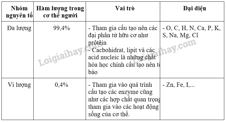 Lý thuyết Sinh học 10 Bài 4 (Kết nối tri thức): Các nguyên tố hóa học và nước (ảnh 2)