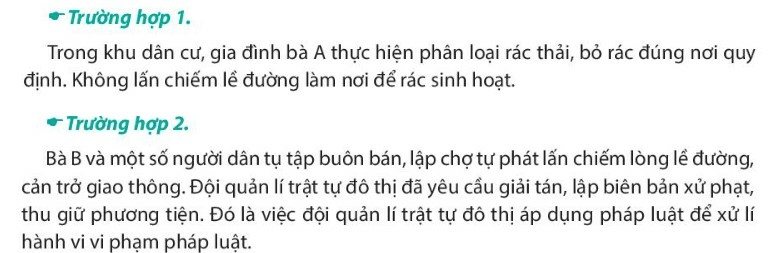 Pháp luật 10 Bài 19: Thực hiện pháp luật | Chân trời sáng tạo (ảnh 2)