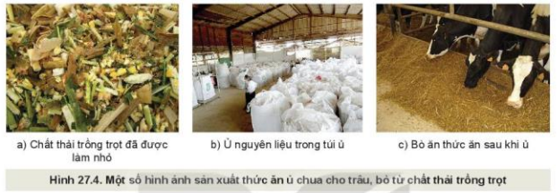 Lý thuyết Công Nghệ 10 Bài 27: Ứng dụng công nghệ vi sinh trong bảo vệ môi trường và xử lí chất thải trồng trọt - Kết nối tri thức (ảnh 1)